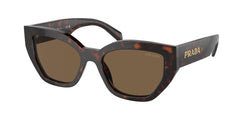 Briar Tortoise Frame | Dark Brown Polarized Lens