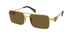 Matte Gold Frame | Dark Brown Lens