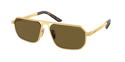 Matte Gold Frame | Dark Brown Lens