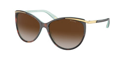 Havana On Acquamarine Frame | Gradient Brown Lens