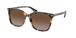 Shiny Havana Yellow Frame | Polar Gradient Brown Lens