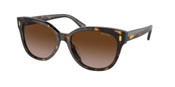 Black Havana Frame | Gradient Brown Lens