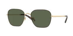 Light Gold / Dark Tortoise Frame | Solid Dark Green Lens