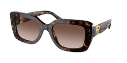 Havana Frame | Gradient Brown Lens