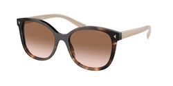 Caramel Tortoise Frame | Brown Gradient Lens