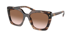 Caramel Tortoise Frame | Brown Gradient Lens