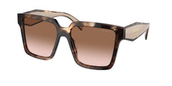 Caramel Tortoise Frame | Brown Gradient Lens