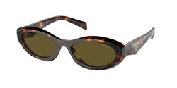 Sage / Honey Tortoise Frame | Dark Brown Lens