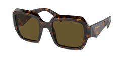 Sage / Honey Tortoise Frame | Dark Brown Lens