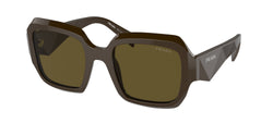 Loden Frame | Dark Brown Lens