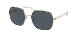 Pale Gold Frame | Dark Grey Lens