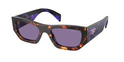 Havana Frame | Violet Mirror Internal Silver Lens