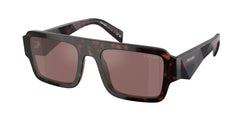 Briar Tortoise Frame | Brown Mirror Internal Silver Lens