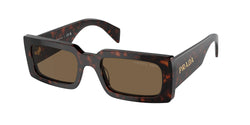 Briar Trotoise Frame | Dark Brown Polarized Lens