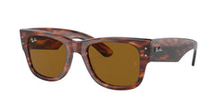 954/33 Striped Havana Frame | Brown Lens