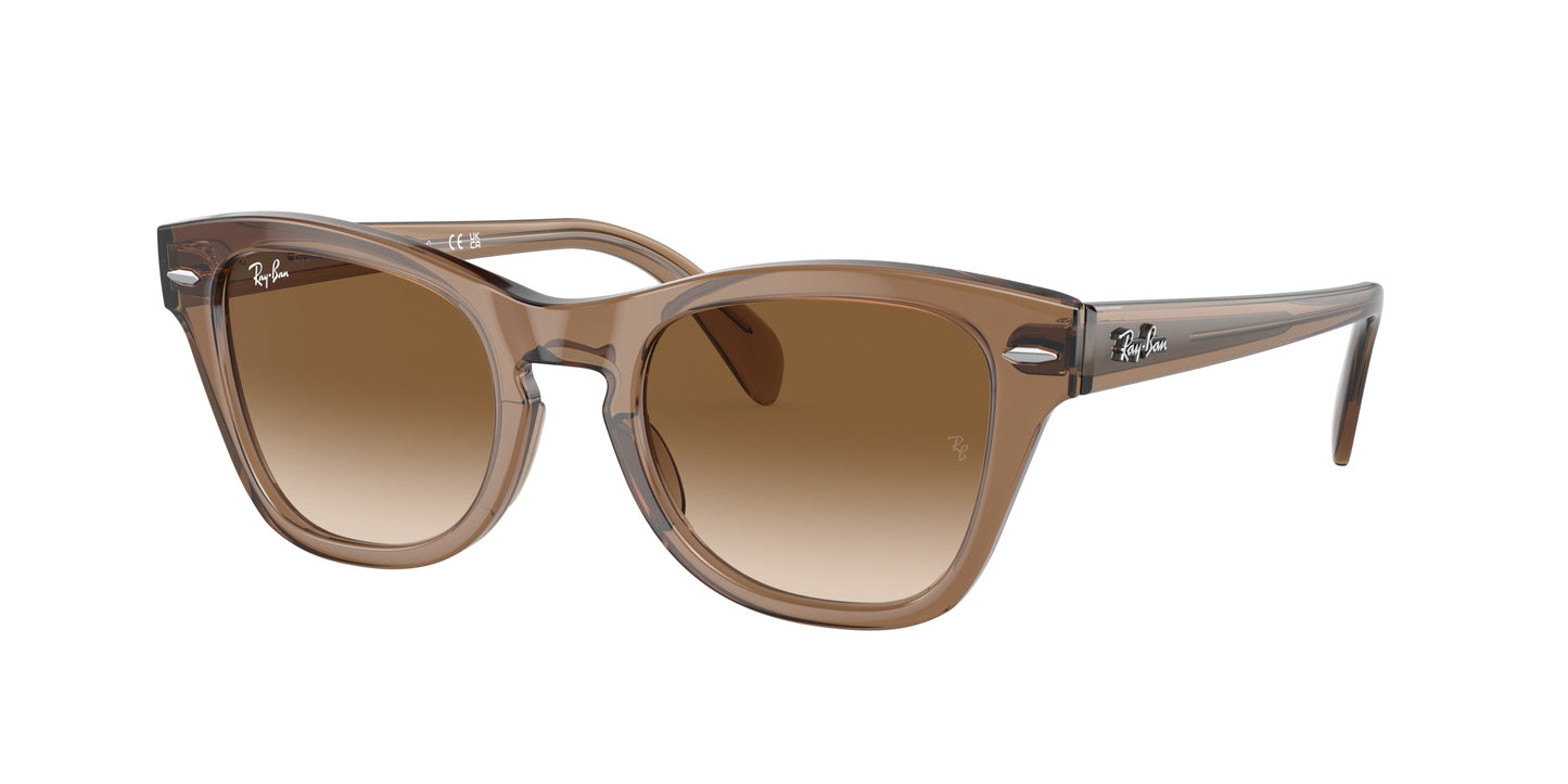 Ray-Ban RB0707S