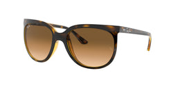 710/51 Light Havana Frame | Light Brown Gradient Lens