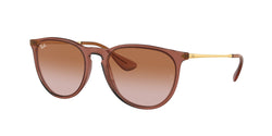 659013 Transparent Light Brown Frame | Gradient Brown Lens