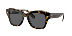 1292B1 Havana ON Transparent Brown Frame | Dark Grey Lens