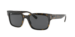 1292B1 Havana ON Transparent Brown Frame | Dark Grey Lens