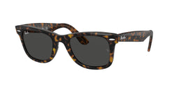 1292B1 Havana ON Transparent Brown Frame | Dark Grey Lens