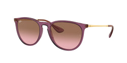 659114 Transparent Violet Frame | Pink Gradient Brown Lens