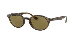 710/73 Light Havana Frame | Dark Brown Lens