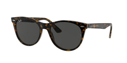 1292B1 Havana ON Transparent Brown Frame | Dark Grey Lens