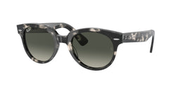 133371 Gray Havana Frame | Grey Gradient Lens