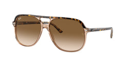 129251 Havana ON Transparent Brown Frame | Light Brown Gradient Lens