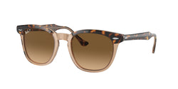 1292M2 Havana ON Transparent Brown Frame | Brown Gradient Polar Lens