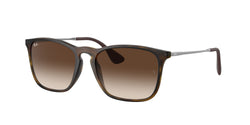 856/13 Rubber Havana Frame | Brown Gradient Lens