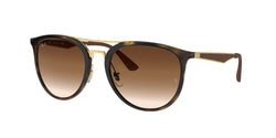 710/13 Light Havana Frame | Brown Gradient Lens