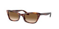 954/51 Striped Havana Frame | Brown Lens