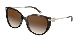 80153B Havana Frame | Brown Gradient Lens