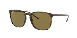 710/73 Light Havana Frame | Dark Brown Lens