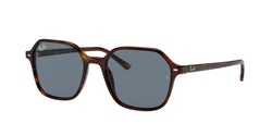 954/62 Striped Havana Frame | Blue Lens