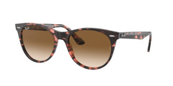 133451 Pink Havana Frame | Light Brown Gradient Lens