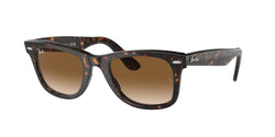 902/51 Tortoise Frame | Light Brown Lens