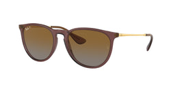 6593T5 Transparent Dark Brown Frame | Brown Gradient Polar Lens