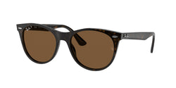 902/57 Tortoise Frame | Brown Lens