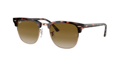 133751 Pink Havana Frame | Light Brown Gradient Lens