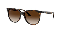 710/13 Havana Frame | Gradient Brown Lens