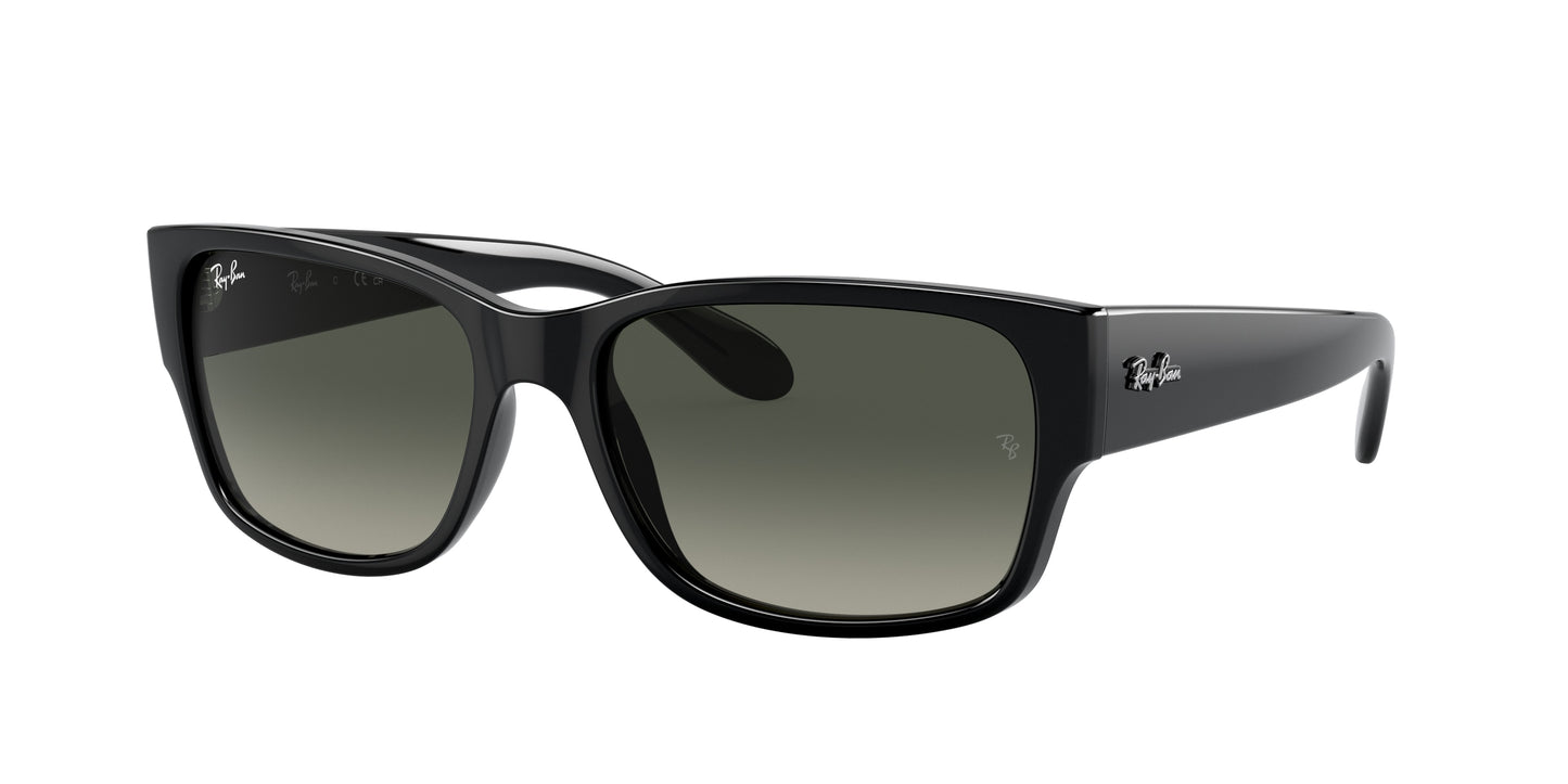 Ray-Ban RB4388