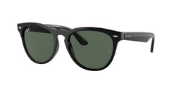 662971 Black Frame | Dark Green Lens