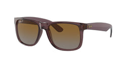 6597T5 Transparent Dark Brown Frame | Brown Lens