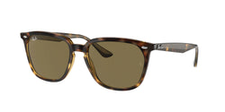 710/73 Havana Frame | Dark Brown Lens