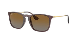 6593T5 Transparent Brown Frame | Brown Lens