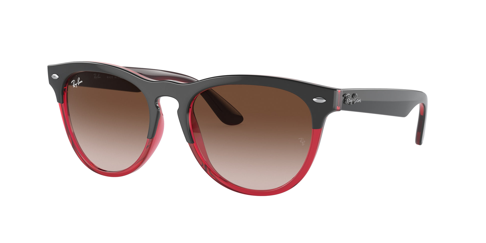 Ray-Ban RB4471 IRIS