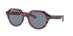 Striped Havana Frame | Blue Lens